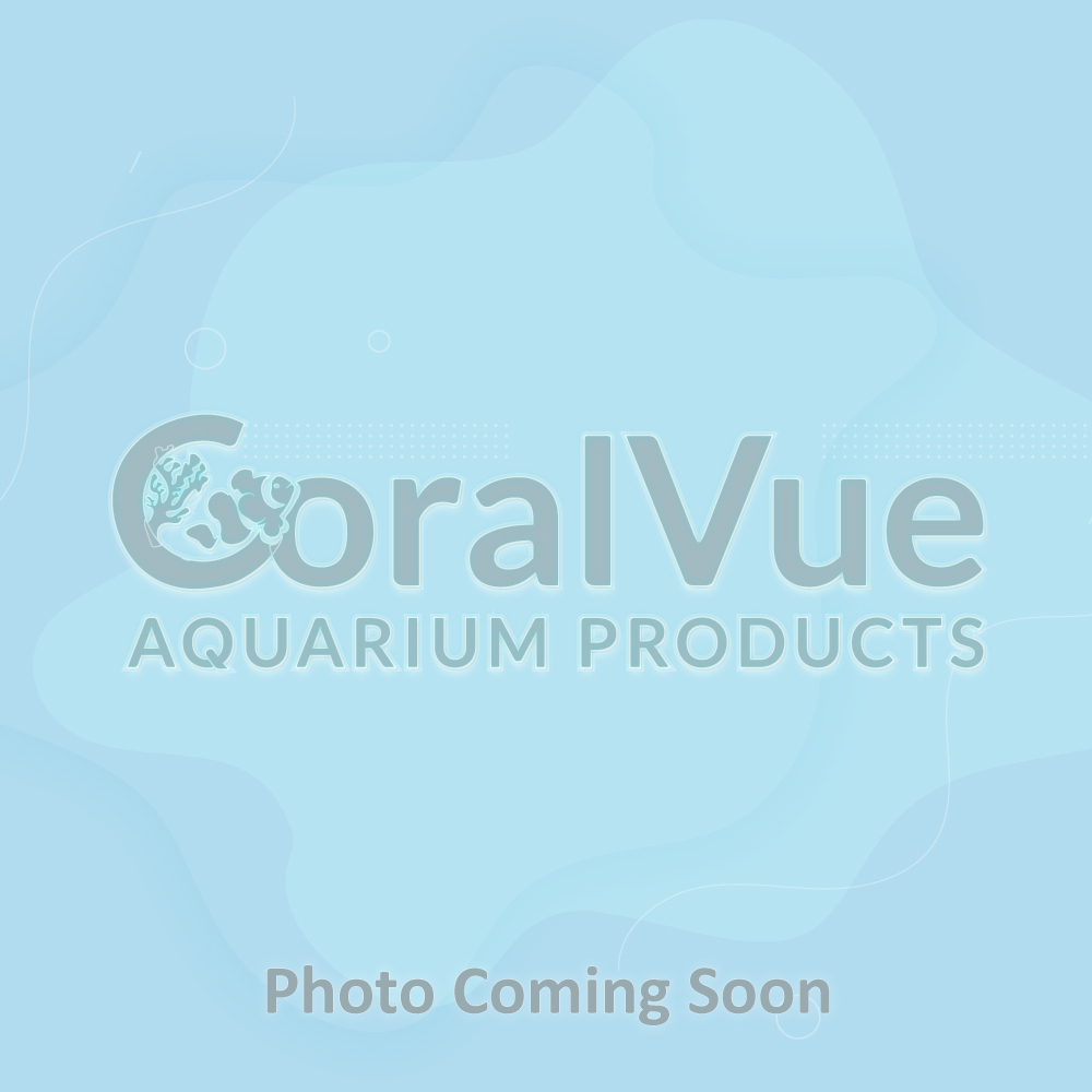How to Effortlessly Clean Your Wall Mounted Aquarium