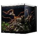 IC_AIOCube_FreshWaterSetup.webp